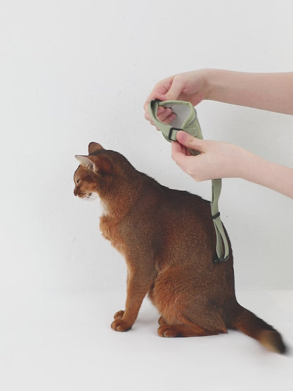 Conjunto de Arnês Estilo Colete para Gato com Bolso para Localizador