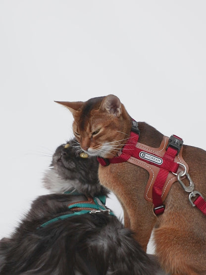 H-Shaped PU Leather Cat Harness Set
