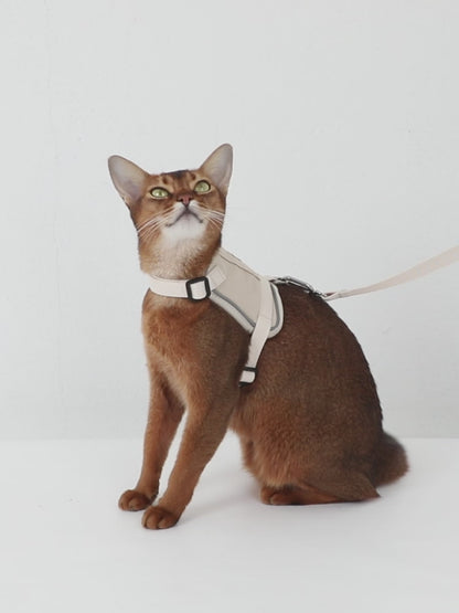 Conjunto de Arnês Estilo Colete para Gato com Bolso para Localizador