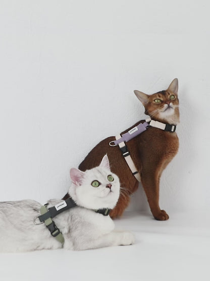 H-Shape Cat Harness Set