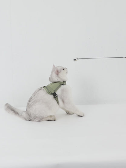 Conjunto de Arnês Estilo Colete para Gato com Bolso para Localizador