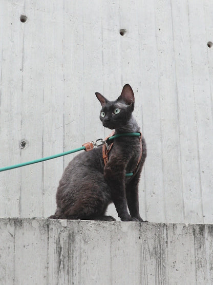X-Shaped Lightweight Cat Harness Set