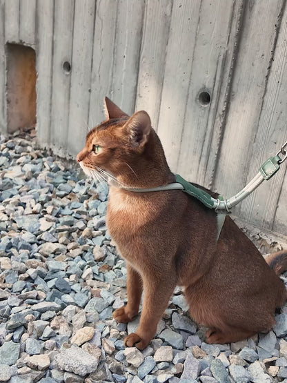 H-Shaped Cat Harness Set